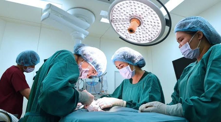 top D-Pharmacy college in barnala course-image